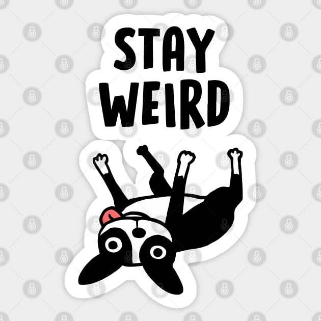 Stay Weird - Funny Boston Terrier Cartoon Dog Sticker by Coffee Squirrel